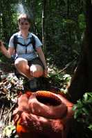 10_08_13 Cameron Highland 4x4 rafflisia flower adventure-74