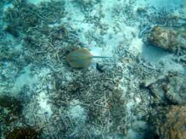 10_08_22 Perhentian Island Beach_0029