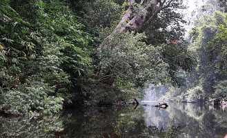 10_08_28 Taman Negara Berkho lake-26