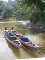 10_08_28 Taman negara Berkho lake_0201-2