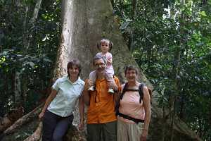 10_08_28 Taman Negara jungle canopy walkway-3