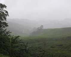 10_08_13 Cameron Highland Tea plantation