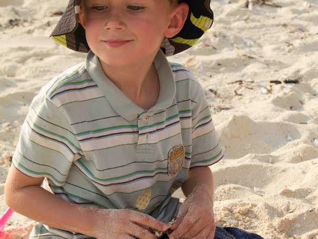 11_08_14 Pom Pom Island