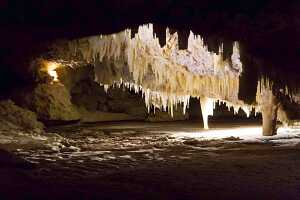 12_10_12 Yanchep national park-101