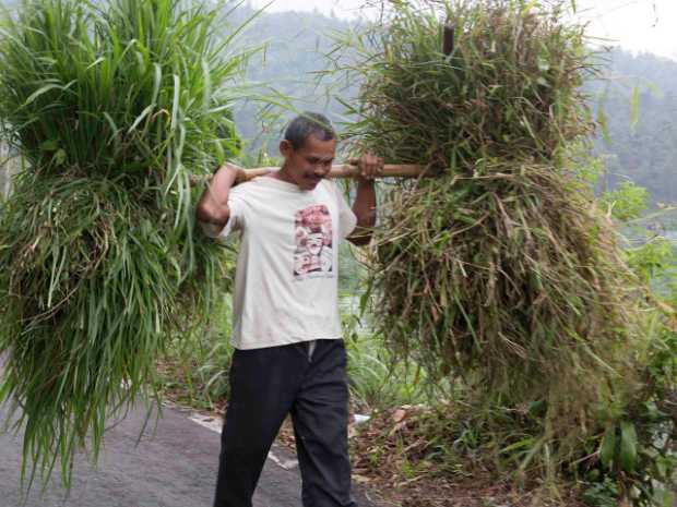 13_10_26 Parc Tawangmangu & Cascade Grojogan Sewu