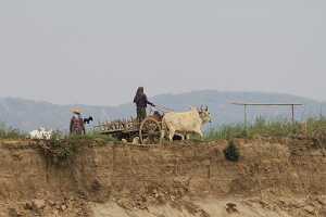 14_04_30 1-en route pour Mingun-11