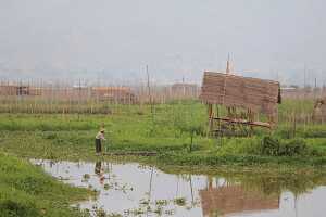 14_05_01 6-Jardins flottants-8