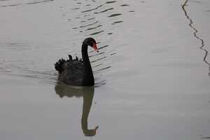 14_05_01 7-Couché de soleil sur le lac-13