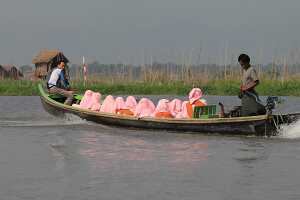 14_05_02 1-Lac inlé-39