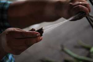 14_05_02 6-Fabrication de la soie et du bambou dorée-7