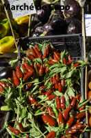 Marche de capo 05-09