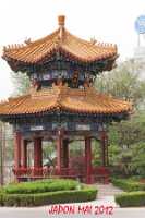 IMG_0010-Modifier copie