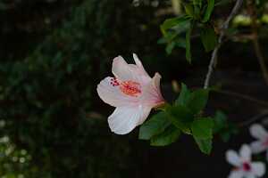 19_09 Espagne_Portugal00052