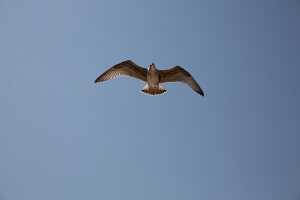 19_09 Espagne_Portugal00071