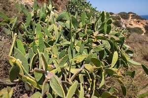 19_09 Espagne_Portugal00081