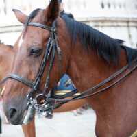 19_09 Espagne_Portugal00108