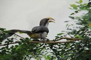 IMG_3594-Modifier-Modifier