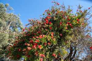 18_05_31 LA Venice Beach et santa Monica00024