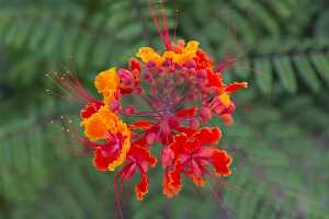 18_06_01 Laughlin00036