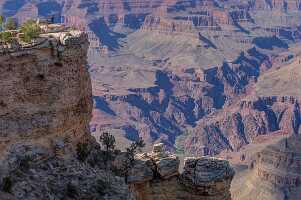 18_06_02 Grand Canyon00047