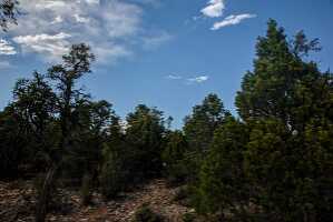 18_06_02 Grand Canyon00053