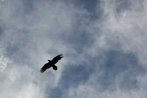 18_06_02 Grand Canyon00056