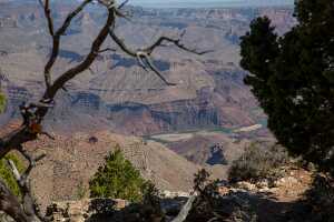 18_06_03 Grand Canyon00072