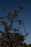 18_06_03 Grand Canyon00075