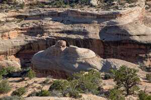 18_06_04 Natural Bridge00086