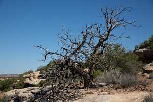 18_06_04 Natural Bridge00099