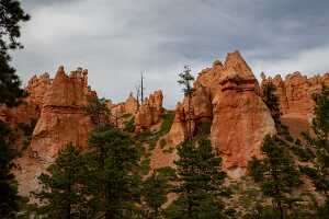 18_06_05 Bryce Canyon00162