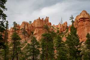18_06_05 Bryce Canyon00163