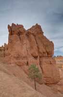 18_06_05 Bryce Canyon00166