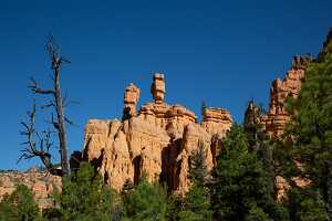 18_06_06 Zion Park00173