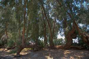 18_06_07 Death Valey00210