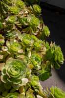 18_06_08 San Francisco00223