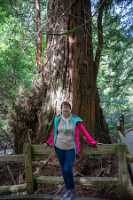 18_06_09 SF Muir Woods00252