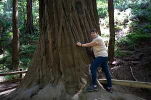 18_06_09 SF Muir Woods00257