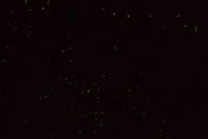 18_03_03 Philippines-00026