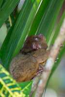 18_03_03 Philippines-00039