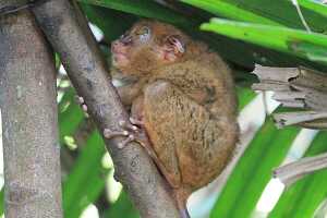 18_03_03 Philippines-00040