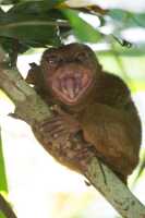 18_03_03 Philippines-00042