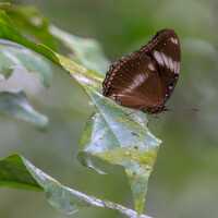 18_03_03 Philippines-00045