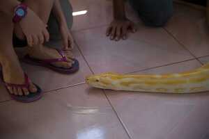 18_03_03 Philippines-00063