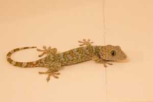 18_03_03 Philippines-00064