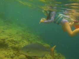 18_03_03 Philippines-00070