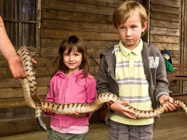 12_11_11 Caversham wildife center