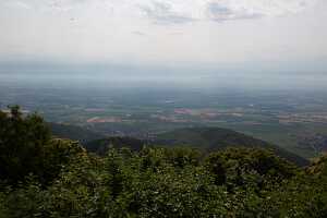 19_07_11_strasbourg00022