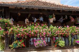 19_07_11_strasbourg00031