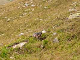 19_08 voreppe cours00032